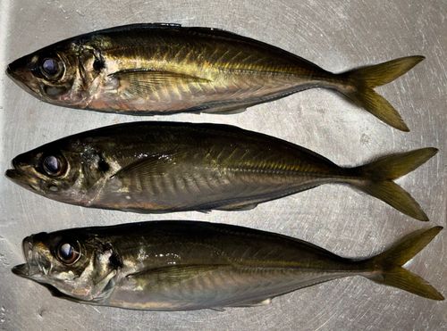 小名浜港アクアマリンふくしま周辺