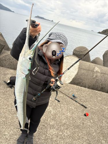 トガリエビスの釣果