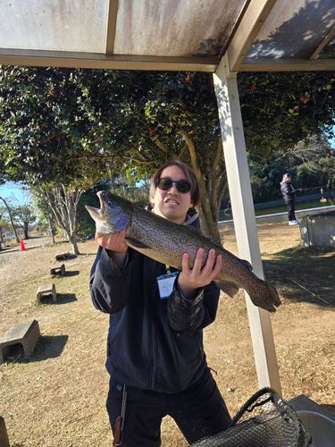 トラウトサーモンの釣果
