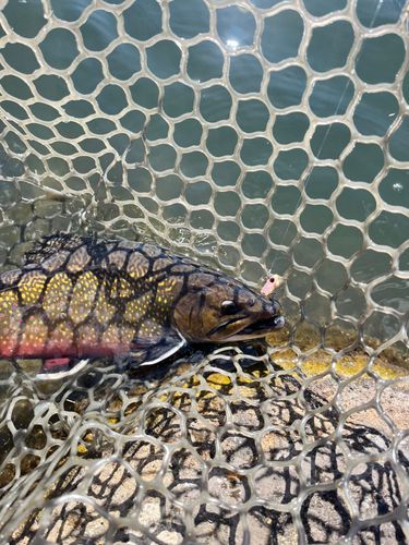 那須白河フォレストスプリングス