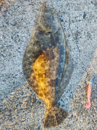 松ヶ崎漁港（葦北）