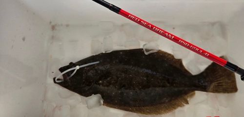 田之浦港（倉敷）