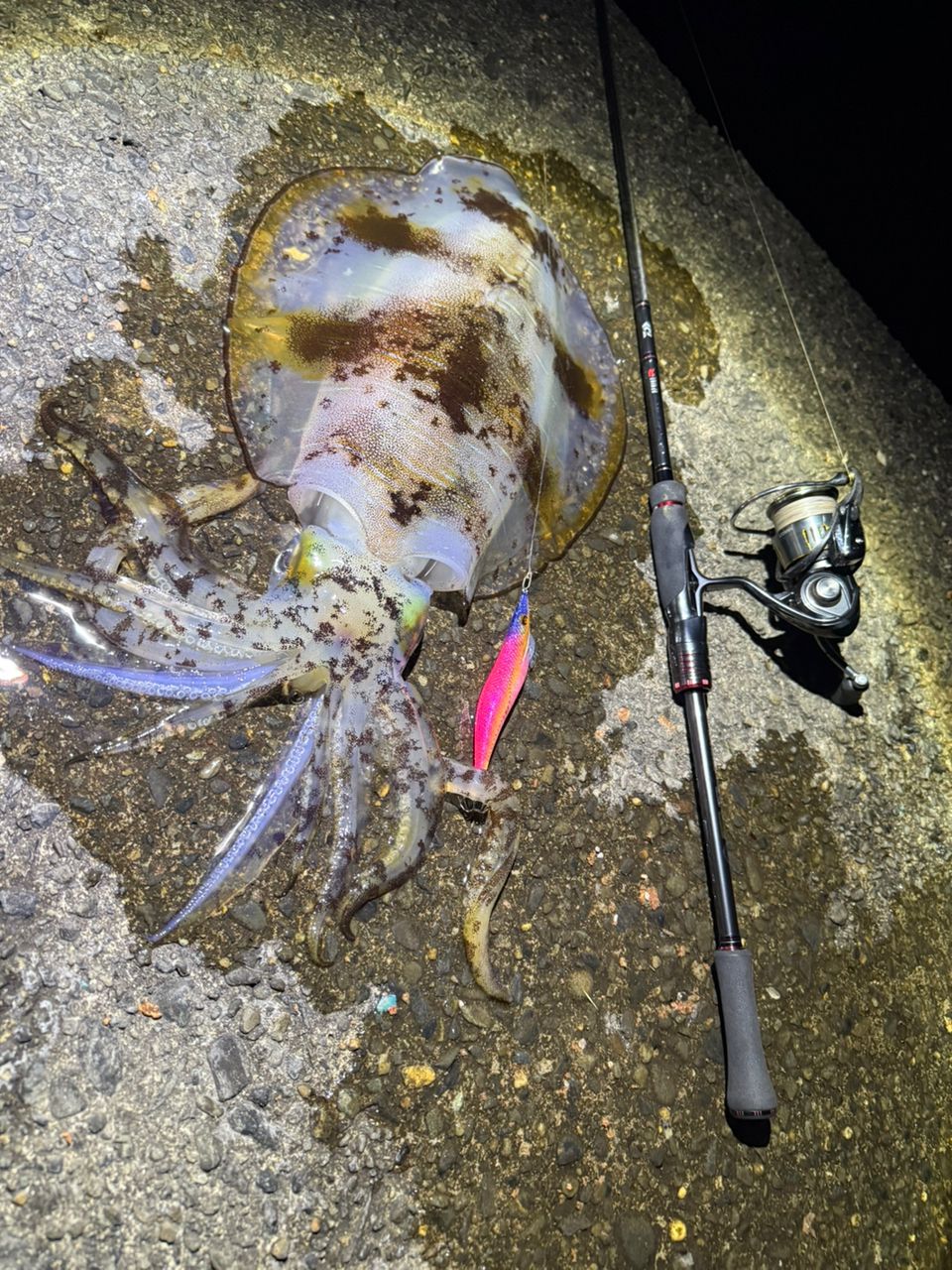 DAIWA 22エメラルダス ストイスト RT 82MHの最安値・インプレ・釣果