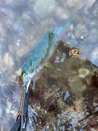 関門海峡（山口）