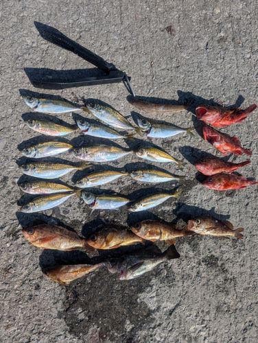 周防大島（屋代島）