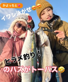 スズキの釣果