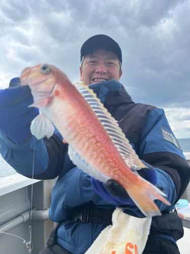 シロアマダイの釣果