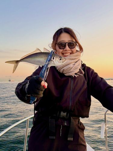 東京湾（アクアライン〜富津）