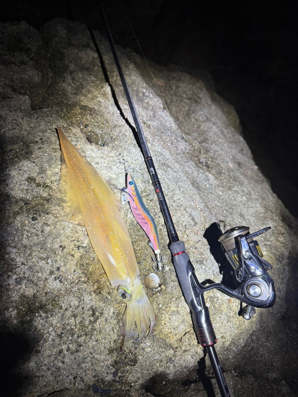 DAIWA 22エメラルダス ストイスト RT 82MHの最安値・インプレ・釣果