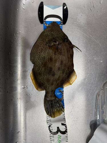 浜田港（島根）