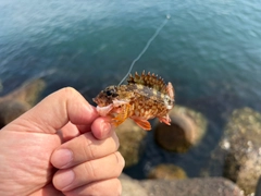 釣果
