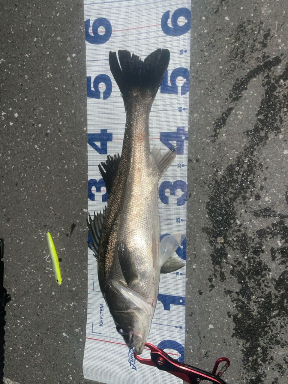 DAIWA 21モアザン ブランジーノ EX AGS 97ML/Mの最安値・インプレ