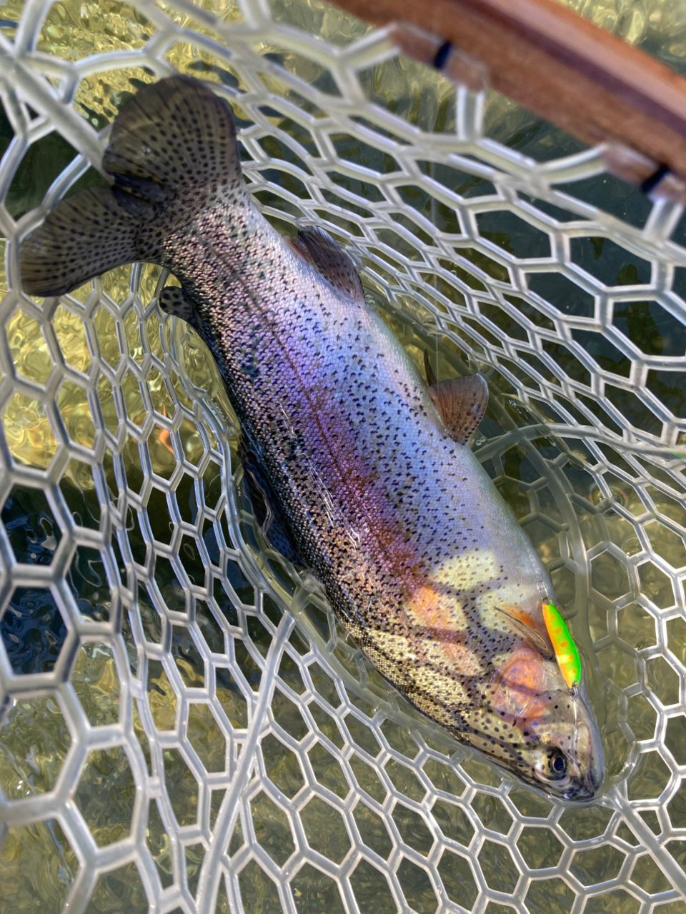 VARIVAS アバニ®︎ ソルトウォーター フィネス PE X8 0.4号/9.2lb