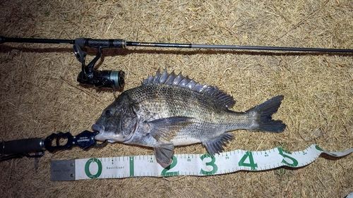 東京湾（アクアライン〜富津）