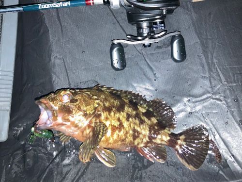 東京湾（アクアライン〜富津）