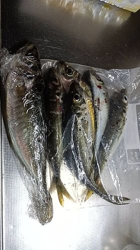 小名浜港アクアマリンふくしま周辺