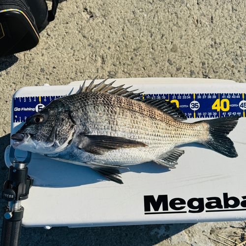 松ヶ崎漁港（葦北）