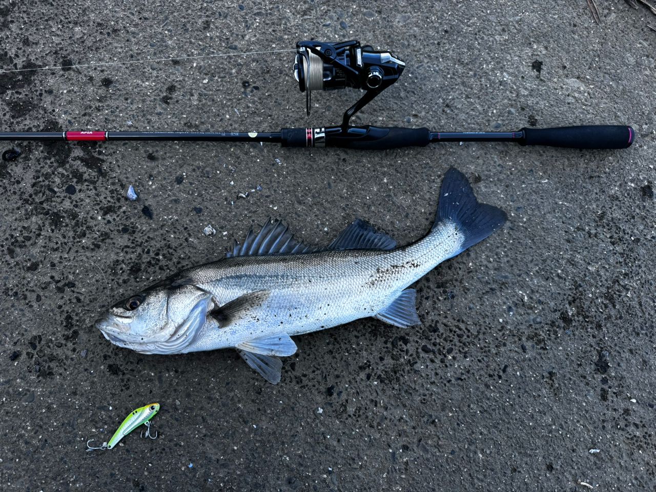 APIA 21フージン'RS 88MLの最安値・インプレ・釣果 | 本音の口コミ