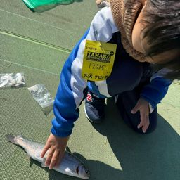 レインボートラウト