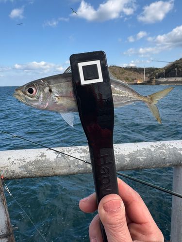 とっとパーク小島