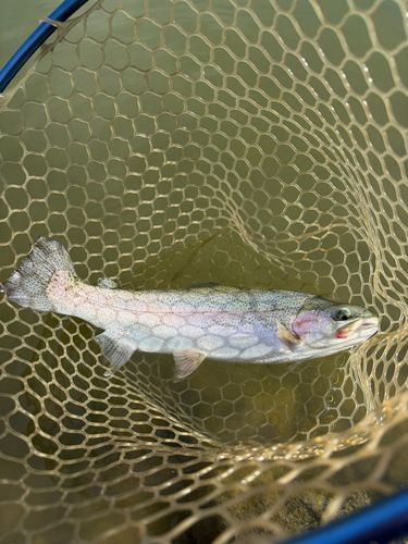 加賀フィッシングエリア