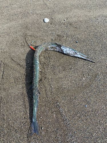 辻堂海浜公園前