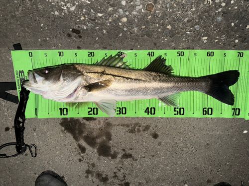 新舞子海岸（富津）