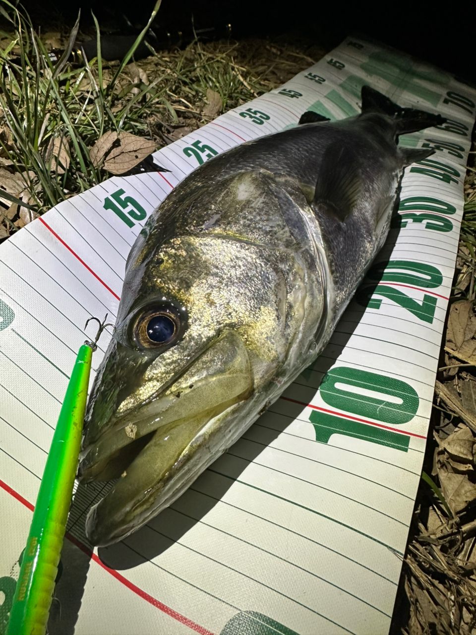 DAIWA 21モアザン ブランジーノ EX AGS 94LMLの最安値・インプレ・釣果