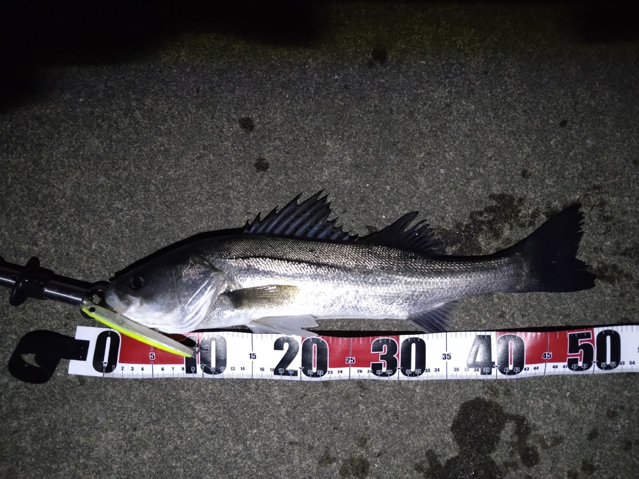 DAIWA 21シーバスハンター X 90ML・Rの最安値・インプレ・釣果 | 本音