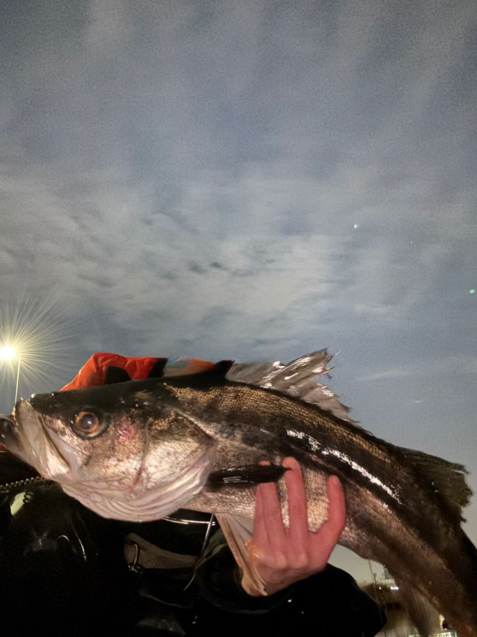 APIA 21フージン'RS C88Mの最安値・インプレ・釣果 | 本音の口コミ