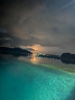 ヤリイカの釣果