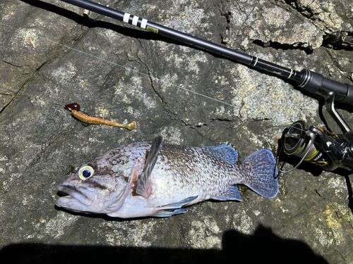 三陸海岸（岩手）