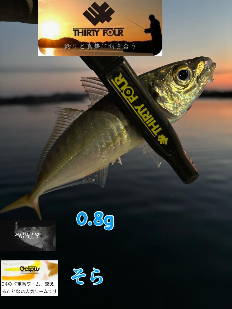 SHIMANO 22ソアレ BB 500SPGの最安値・インプレ・釣果 | 本音の口コミ