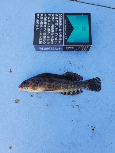 相馬港釣り桟橋