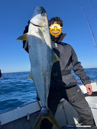 ヒラマサの釣果