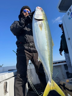 ヒラマサの釣果