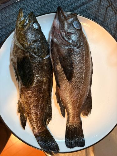 新舞子マリンパーク