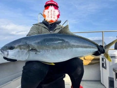 ヒラマサの釣果