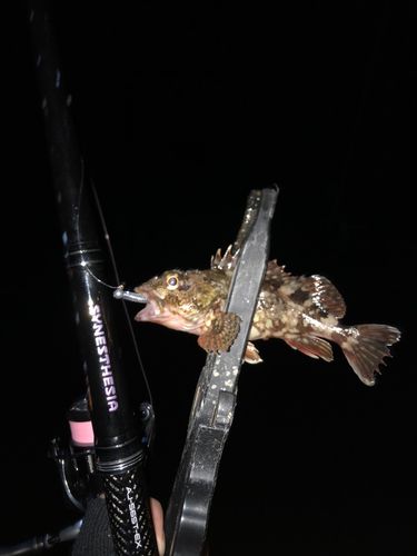 東京湾（アクアライン〜富津）