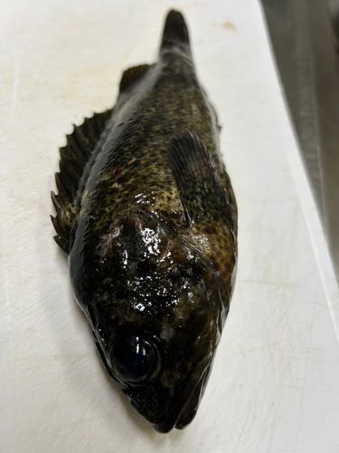 警固屋中学校前