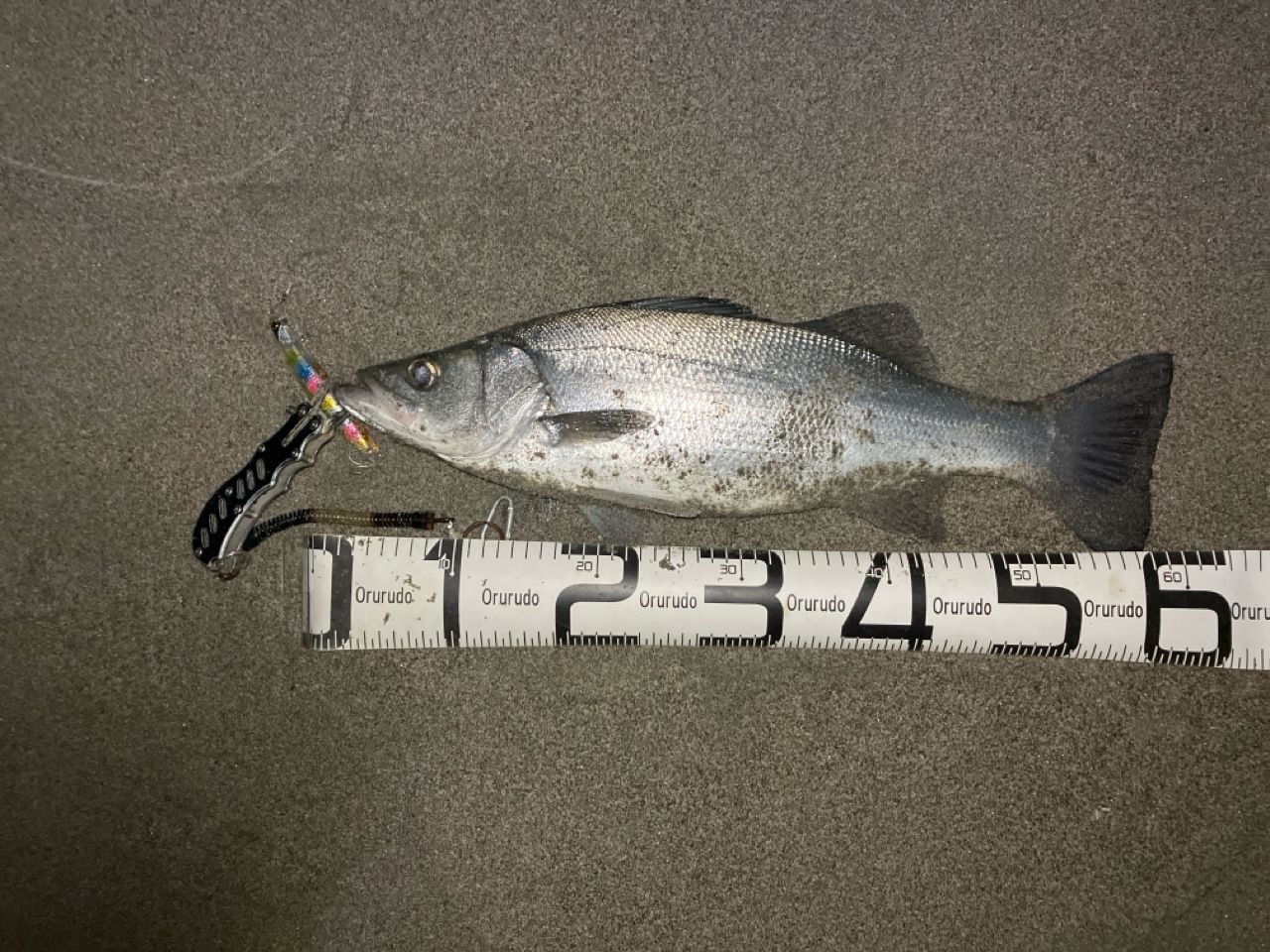 MajorCraft クロスライド 5G XR5-1002MHの最安値・インプレ・釣果