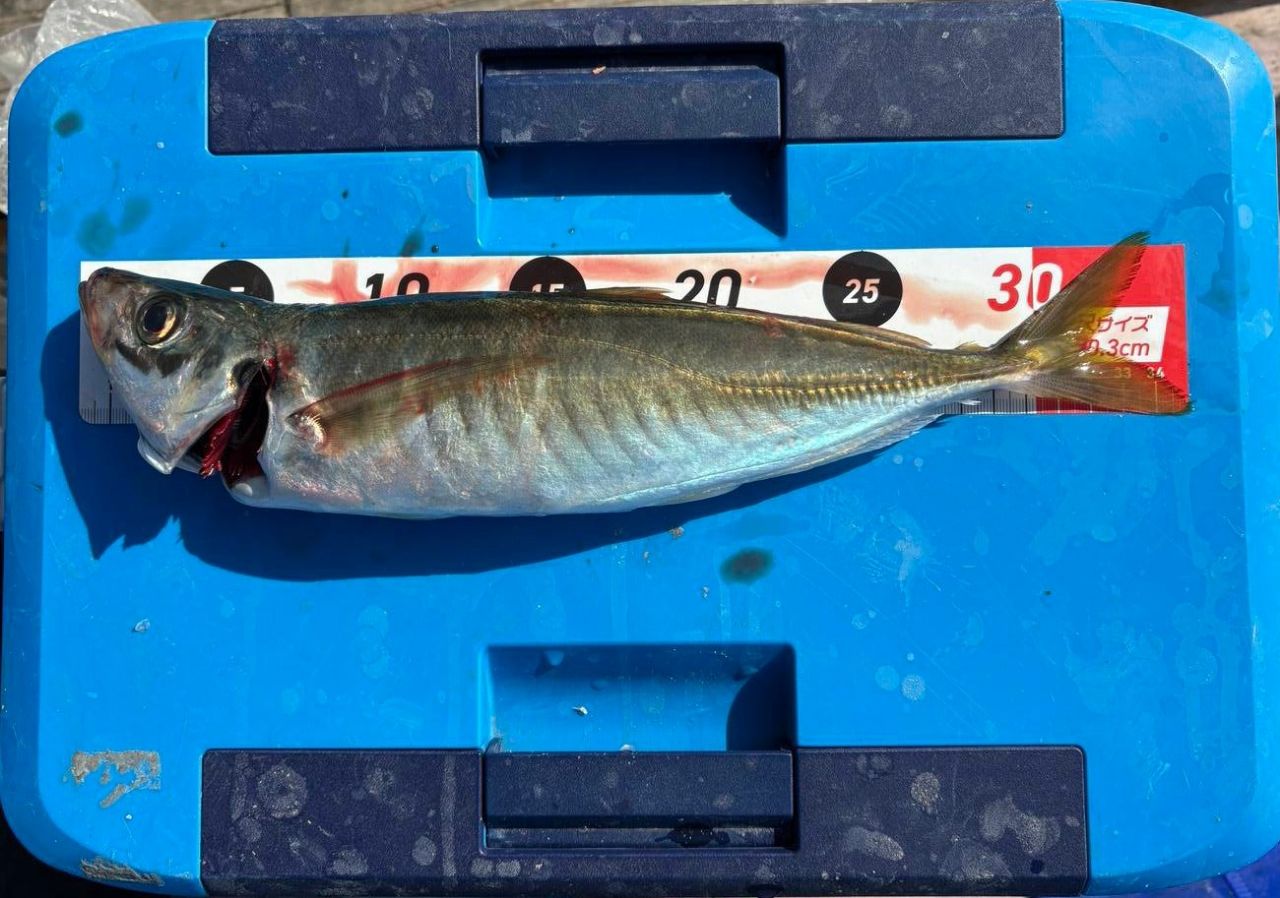 SHIMANO 18ソアレ SS S73SUL-Sの最安値・インプレ・釣果 | 本音の