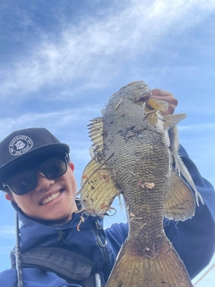 スモールマウスバスの釣果