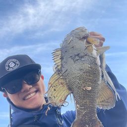 スモールマウスバス