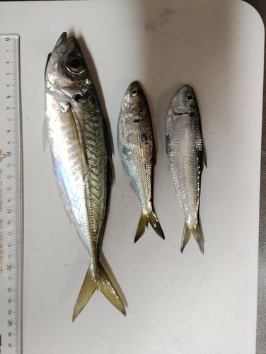 小名浜港アクアマリンふくしま周辺