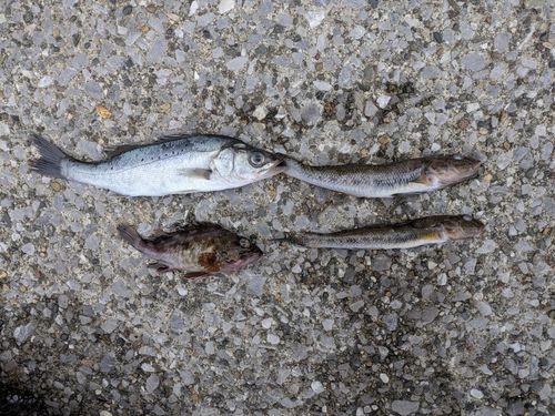 東京ゲートブリッジ付近