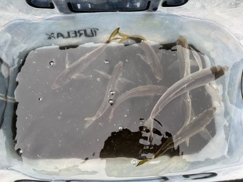 本牧海づり施設