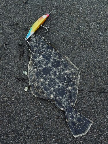 辻堂海浜公園前