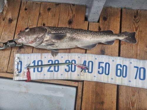 三陸海岸（岩手）