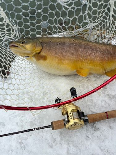 フィッシングランド鹿島槍ガーデン